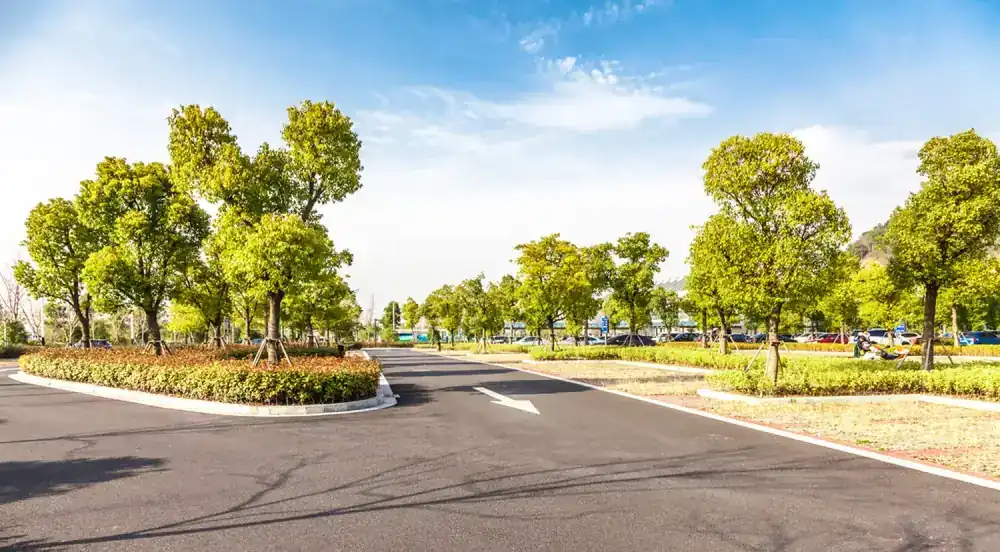 Asphalt Paving